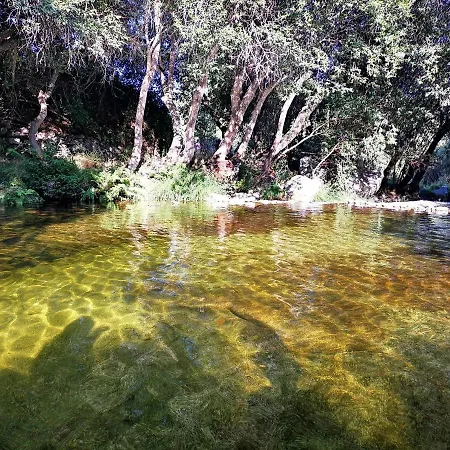 Molino Navarenas * San Martín del Pimpollar