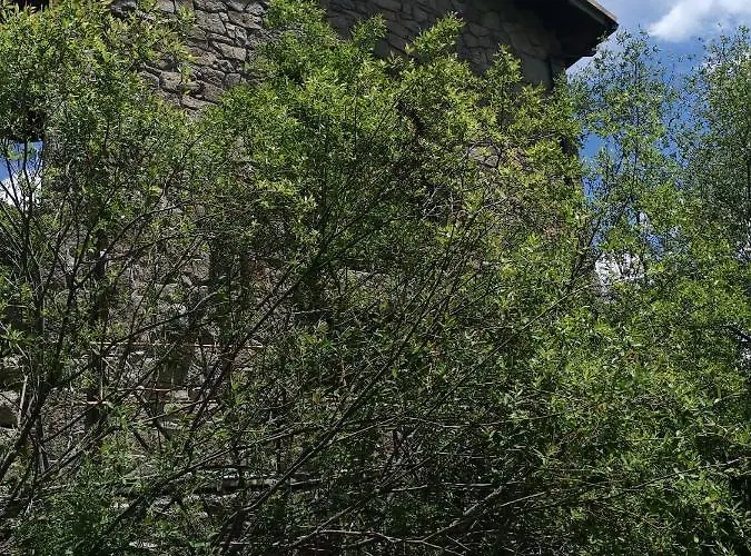 Appartement Molino Navarenas *